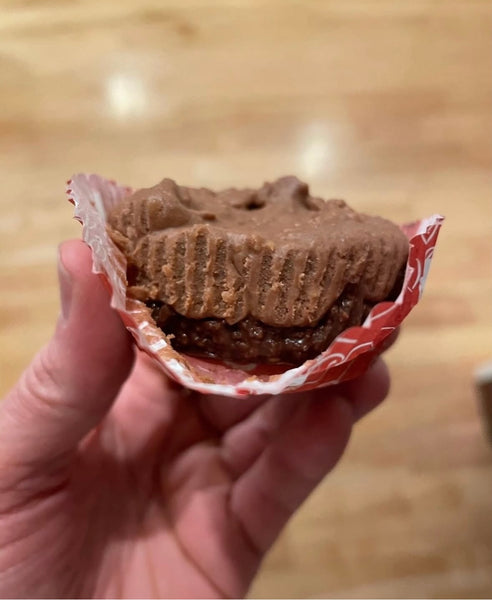 Raw (Vegan) Chocolate Cheesecake (GF & DF)