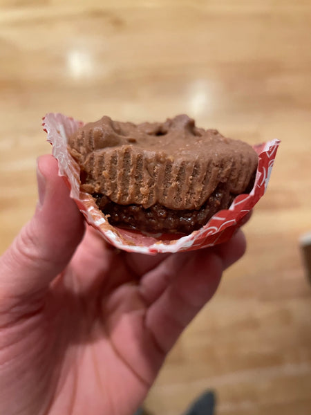 Raw Double Chocolate Cheesecake (Paleo, GF, Vegan)