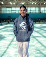 Load image into Gallery viewer, Storm Blue Rawr Hoodie