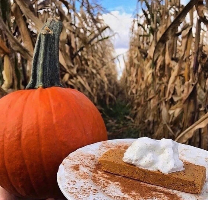 *WHOLESALE ONLY* PUMPKIN PECAN Pouch - Rawr Bar Protein Crumbles