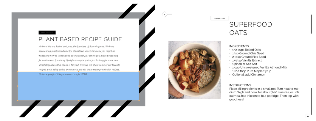 Rawr Plant Based Recipe eBook
